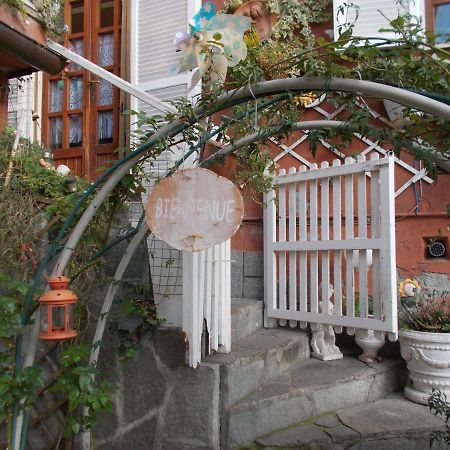 Palazzo Canavese Il Granello Di Senape B&B المظهر الخارجي الصورة